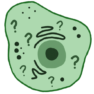 Understanding Cancer