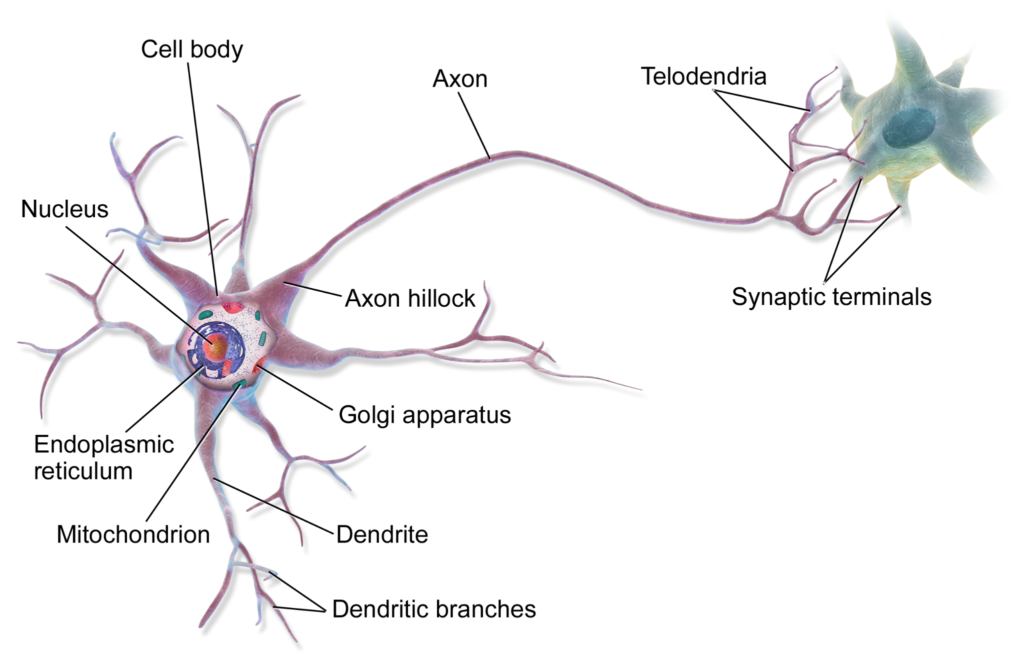 Fig.2